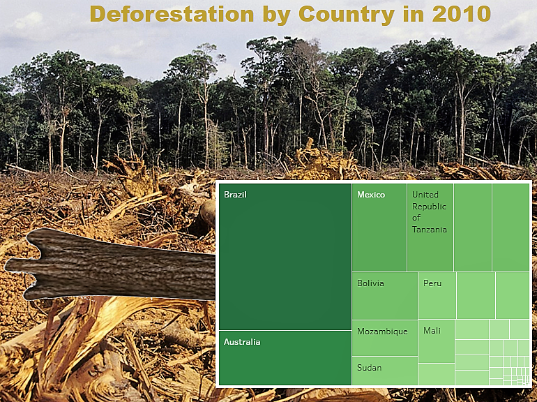 Deforestation
